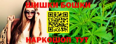 гашик Кулебаки