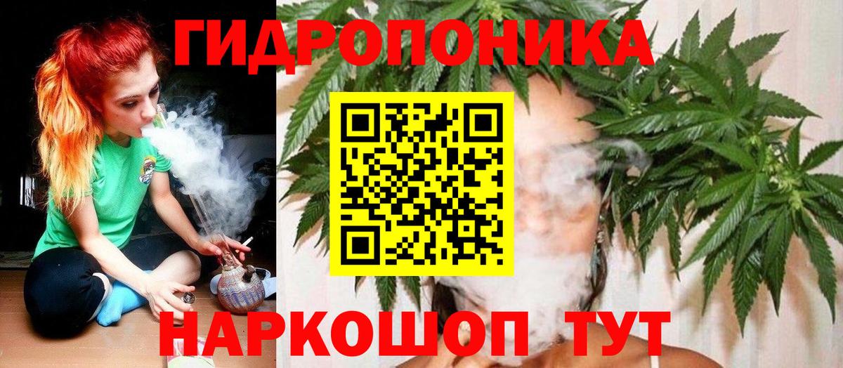 Шишки марихуана планчик  Вход с VPN  Зерноград  Каннабис SATIVA & INDICA  Марихуана AK-47 